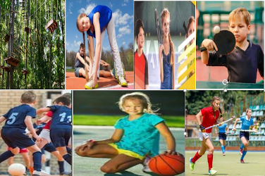 Stages Sportifs Eté 2026